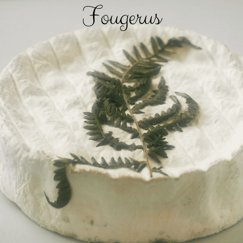 Fougerus Tastings Gourmet Market
